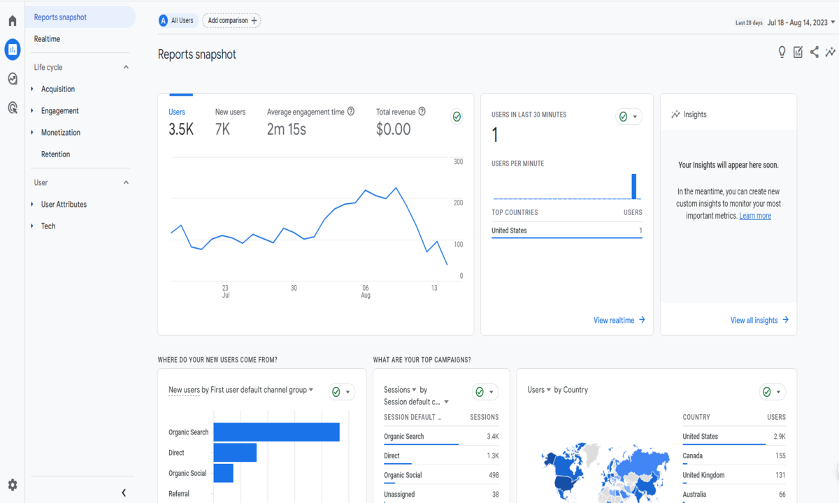 Google Analytics Interface